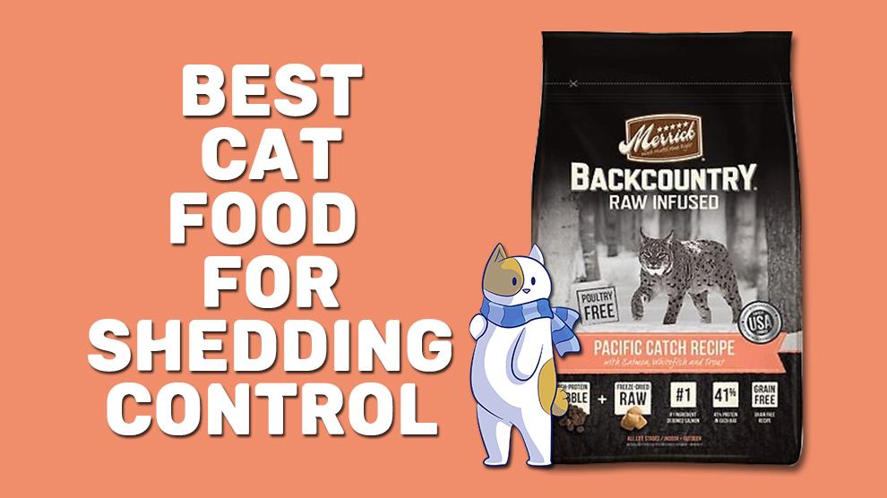 Best Cat Food For Shedding Control