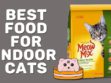 Best Food For Indoor Cats