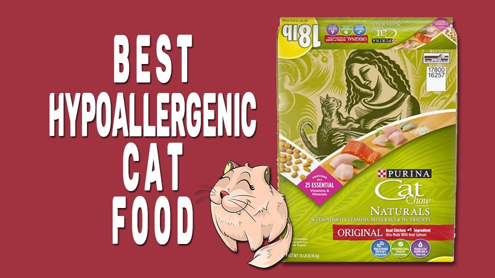 Best Hypoallergenic Cat Food