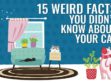 Weird Facts You Didn’t Know About Your Cat