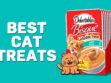 Best Cat Treats