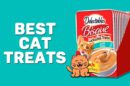 Best Cat Treats