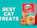 Best Cat Treats