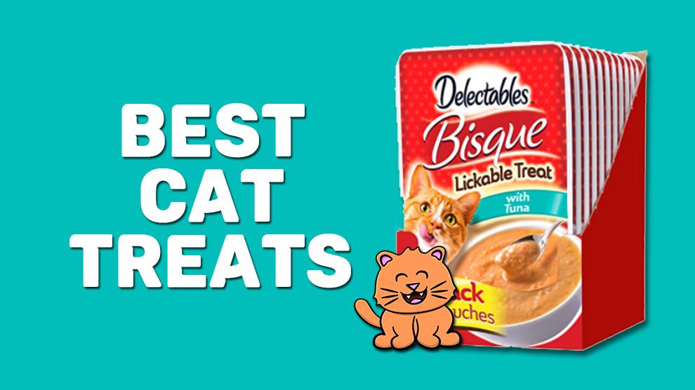 Best Cat Treats