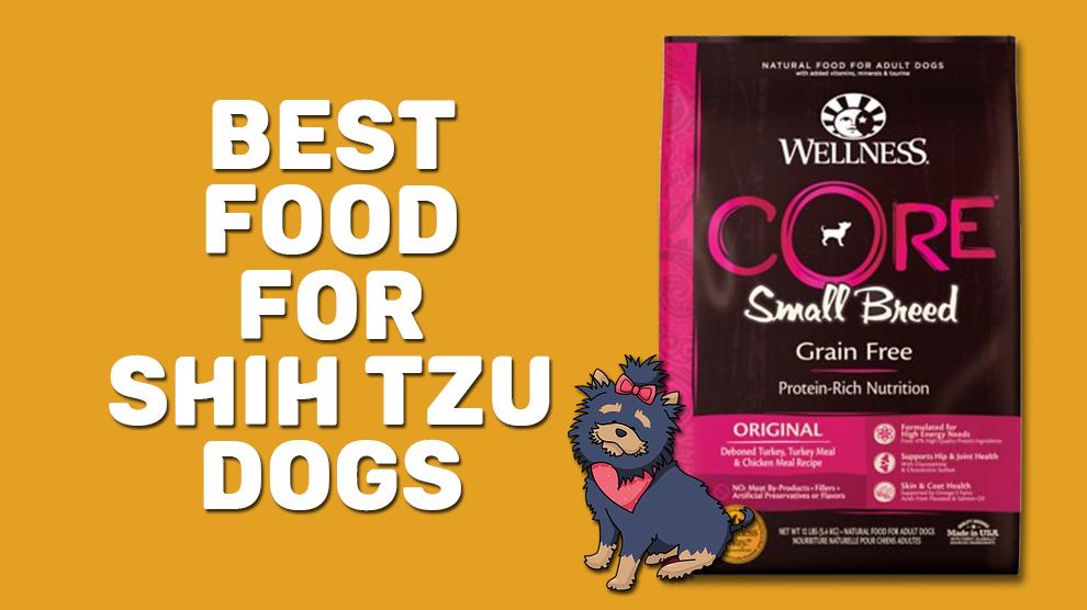 Best Food For Shih Tzu Dogs