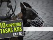 10 Surprising Tasks K9s Can Do