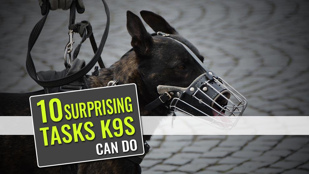 10 Surprising Tasks K9s Can Do