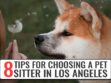 Choosing A Pet Sitter In Los Angeles