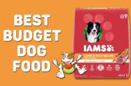 Best Budget Dog Food