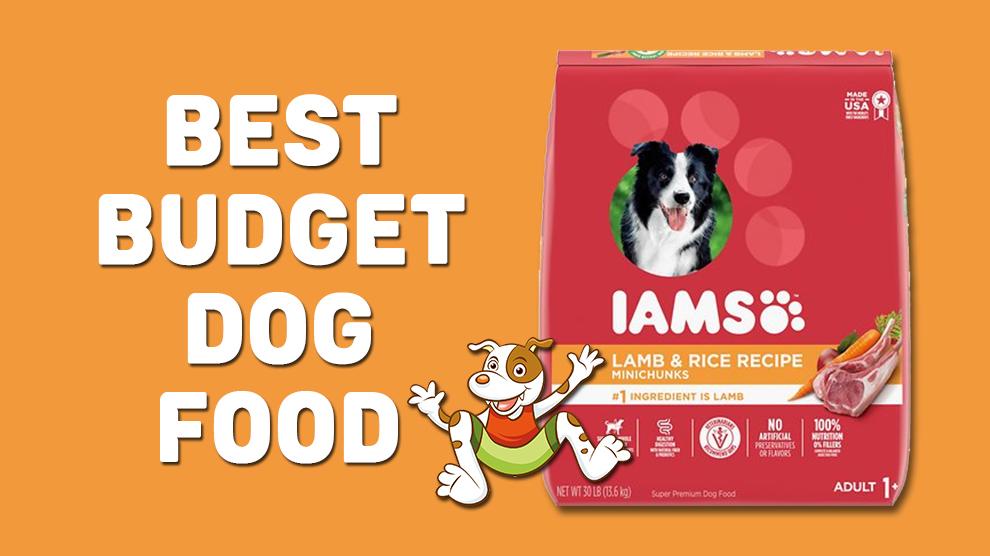 Best Budget Dog Food