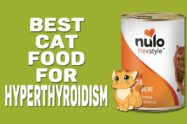 Best Cat Food For Hyperthyroidism