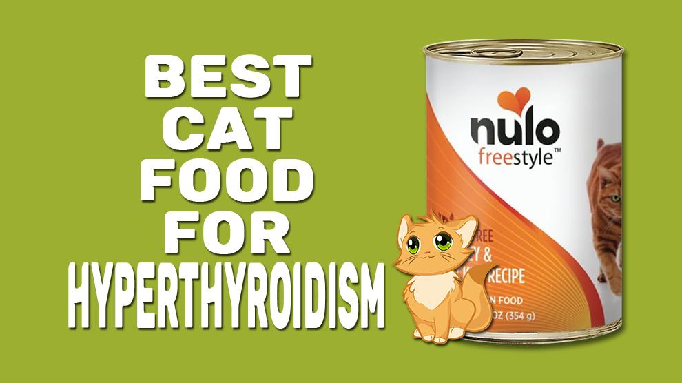 Best Cat Food For Hyperthyroidism