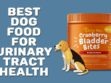 Best Dog Food For Urinary Tract Health
