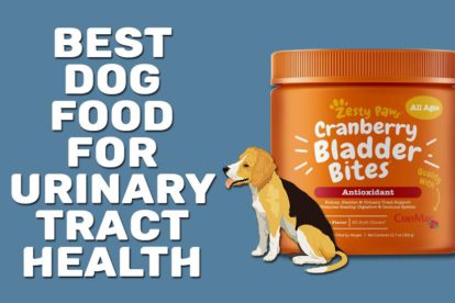Best Dog Food For Urinary Tract Health