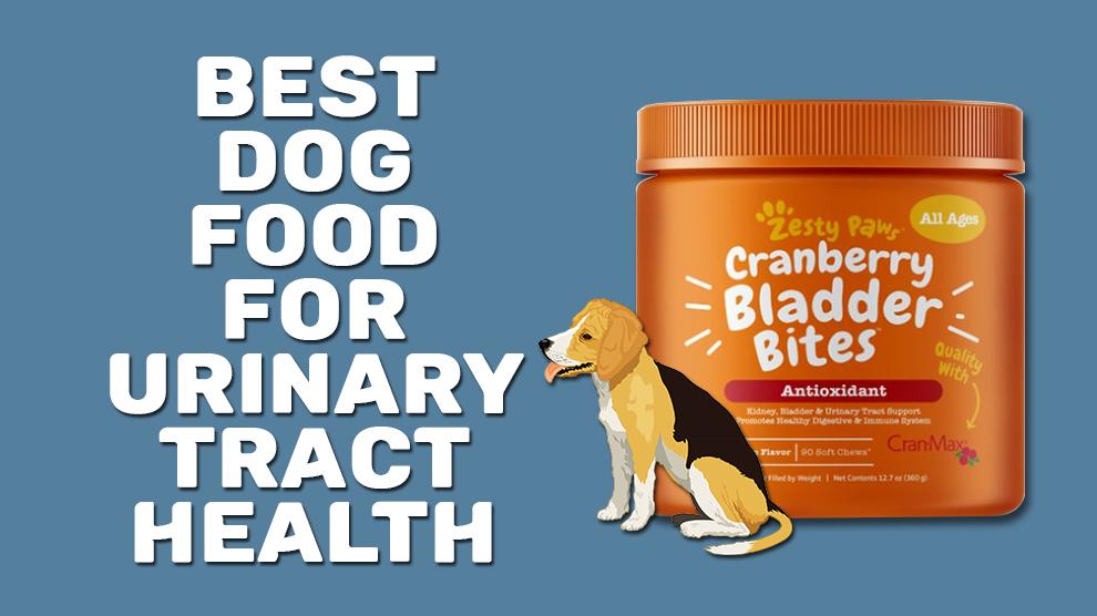 Best Dog Food For Urinary Tract Health