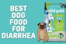 Best Dog Food For Diarrhea