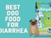 Best Dog Food For Diarrhea