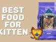 Best Food For Kitten