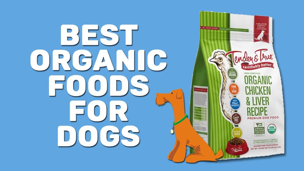 Best Organic Foods For Dogs