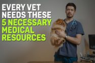 Every Vet Needs These 5 Necessary Medical Resources