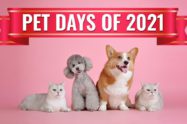Pet Days Of 2021
