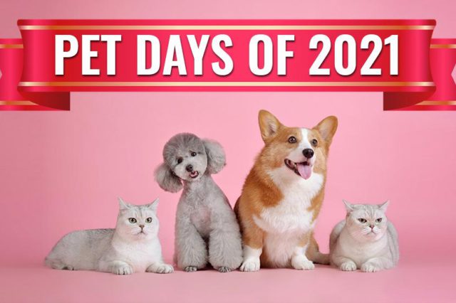 Pet Days Of 2021