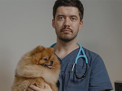 Seek Recommendations from Your Vet