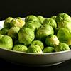 Can Dogs Eat Brussel Sprouts