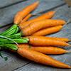 Can Dogs Eat Carrots