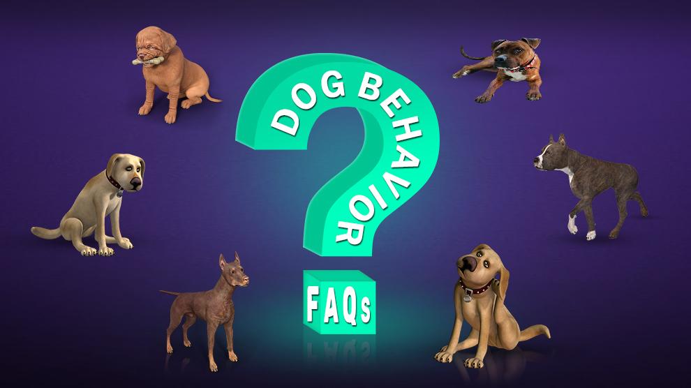 Dog Behavior FAQs