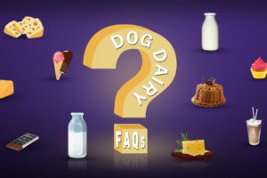 Dog Dairy FAQs