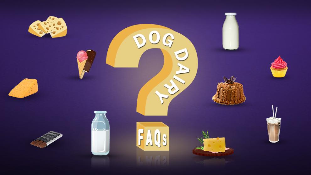 Dog Dairy FAQs