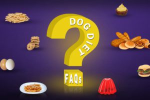 Dog Diet FAQs