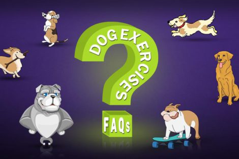 Dog Exercises FAQs