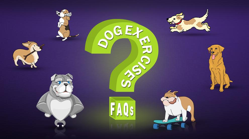 Dog Exercises FAQs