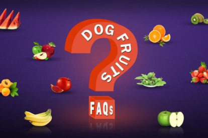 Dog Fruits FAQs
