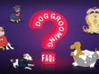Dog Grooming FAQs