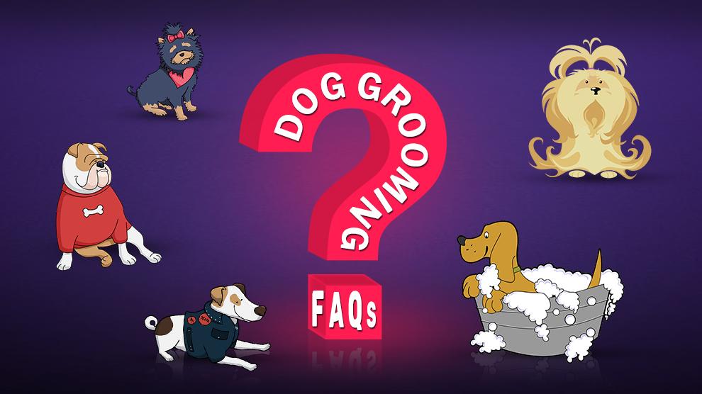 Dog Grooming FAQs
