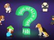 Dog Health Care FAQs