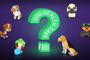 Dog Health Care FAQs