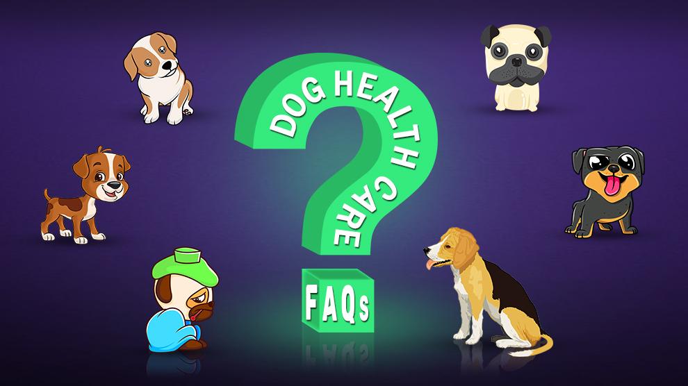 Dog Health Care FAQs