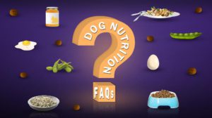 Dog Nutrition FAQs