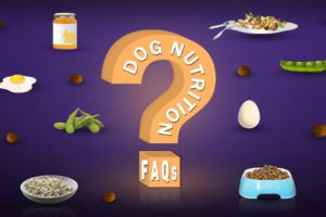 Dog Nutrition FAQs