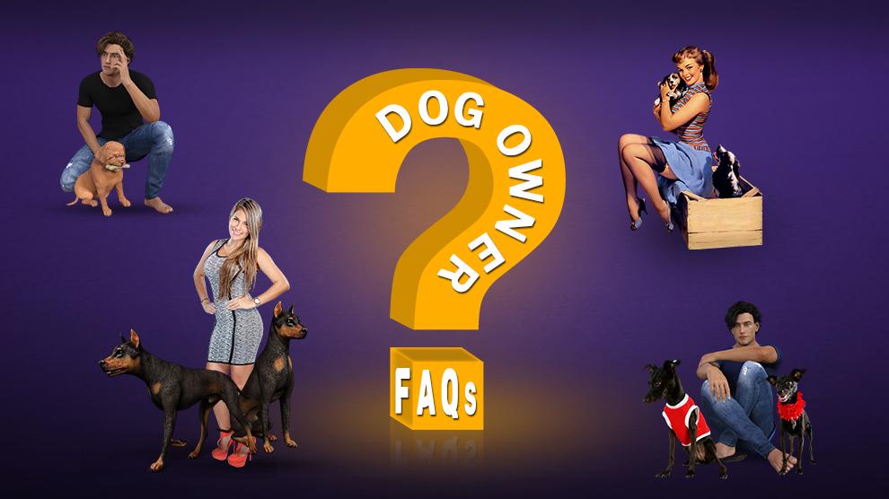 Dog Owner FAQs