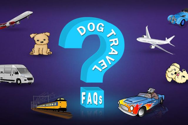 Dog Travel FAQs