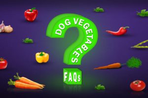 Dog Vegetables FAQs