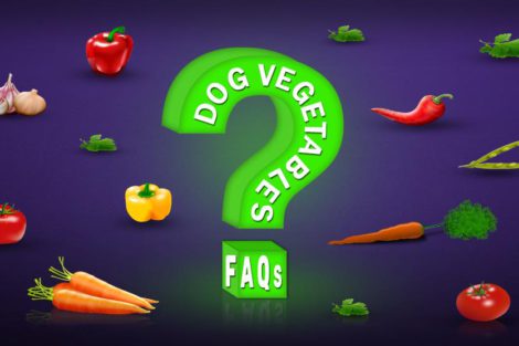 Dog Vegetables FAQs