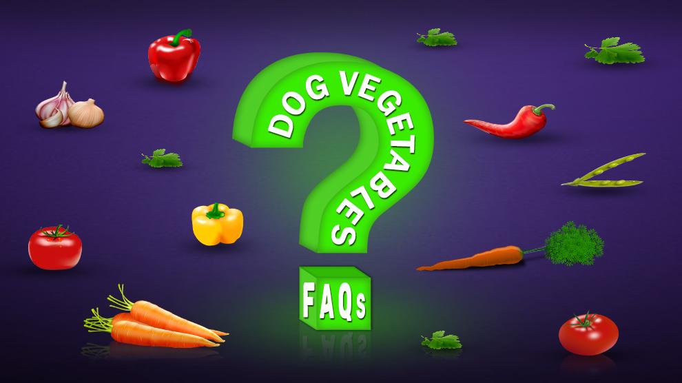 Dog Vegetables FAQs
