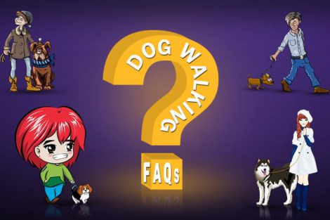 Dog Walking FAQs