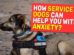 How Service Dogs Can Help You With Anxiety?